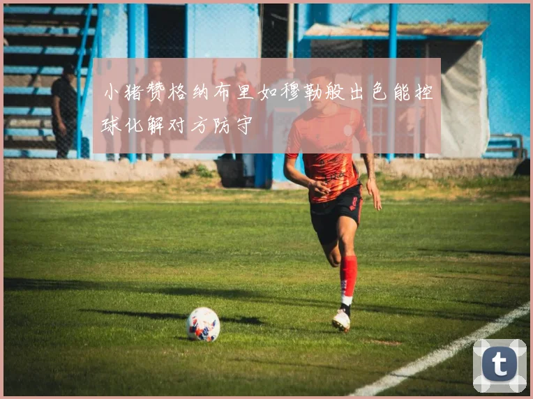 小猪赞格纳布里如穆勒般出色能控球化解对方防守