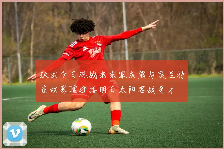 狄龙今日观战老东家灰熊与莫兰特亲切寒暄迎接明日太阳客战奇才